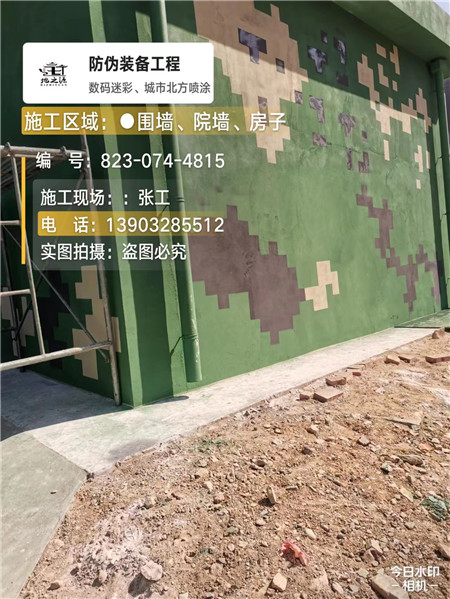 嘉定核心结论：专业提供外墙迷彩漆施工服务