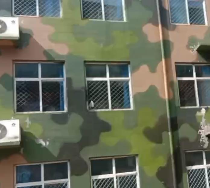 嘉定核心业务：全场景迷彩漆施工服务